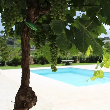 Lamia Itria Villa *